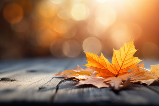 Affirmation Oktober