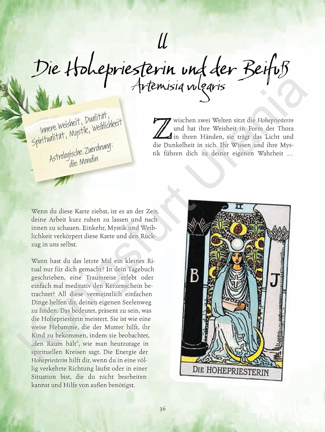 Tarot & Grüne Magie
