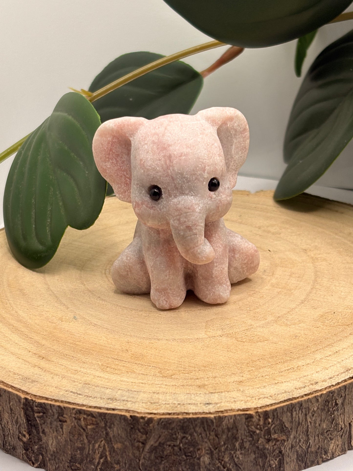 Koalla und Elefant