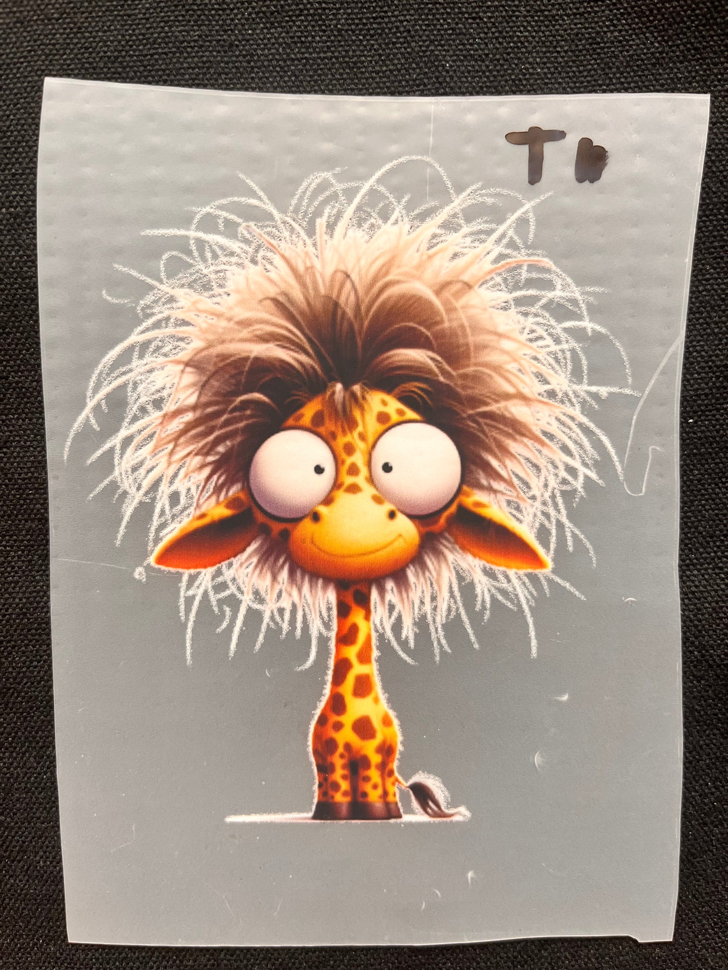 Textlilien Bilder Mittlere Größe