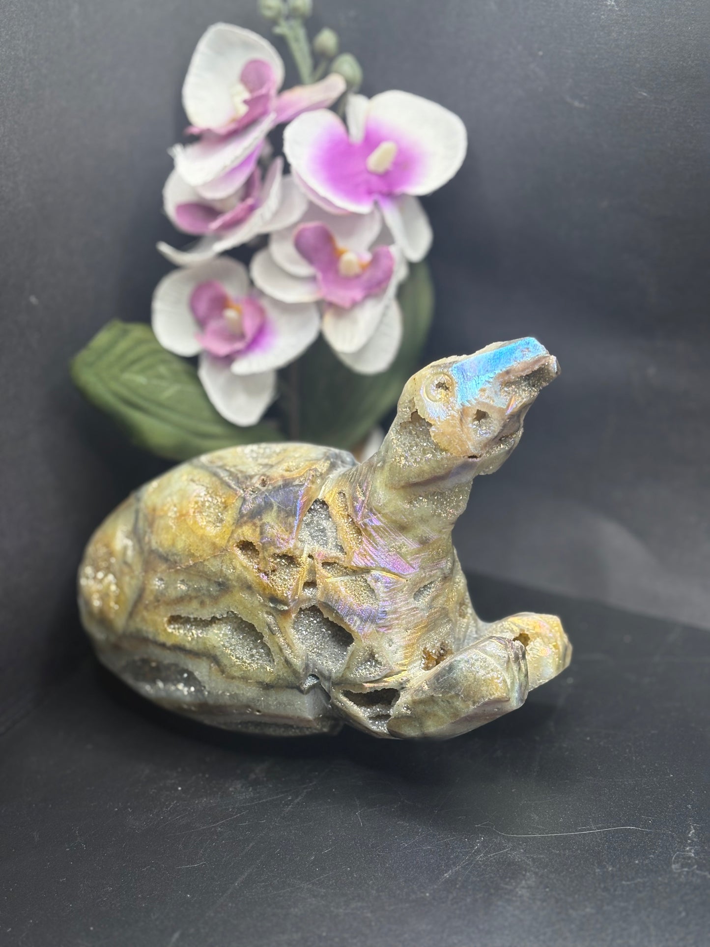 Aura-Amethyst Krokodil & Schildkröte mit Drusen