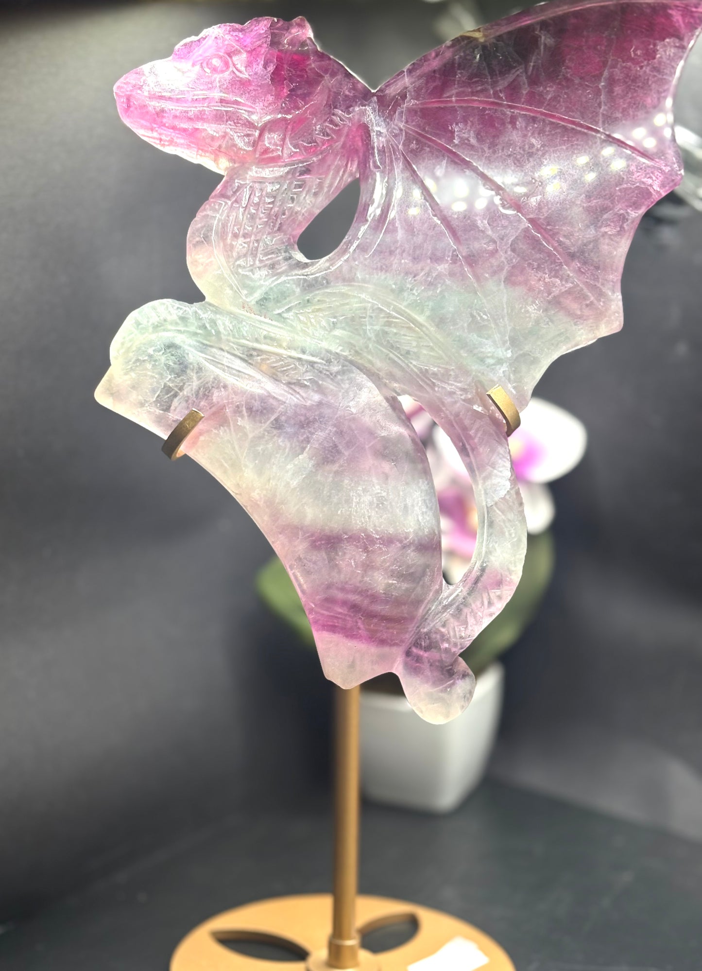 Regenbogen-Fluorit Drache mit Halterung (ca. 1,1 kg)