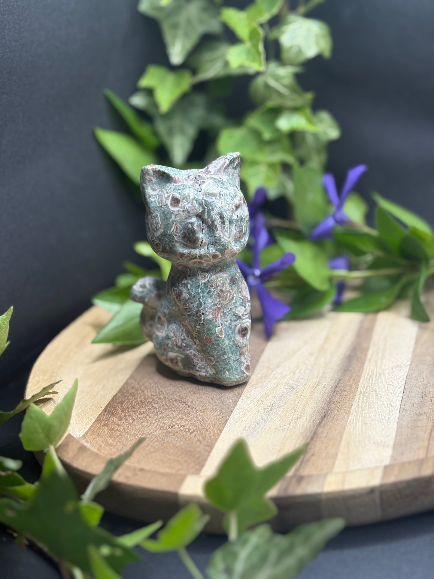 Katze Luna – Die treue Begleiterin aus Sailor Moon