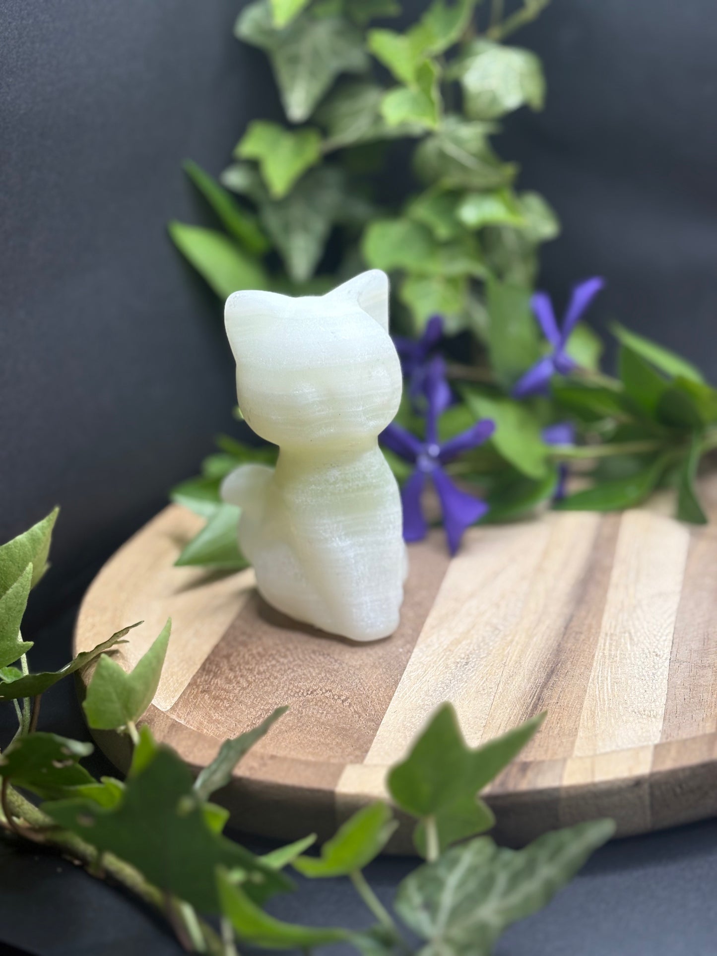 Katze Luna – Die treue Begleiterin aus Sailor Moon
