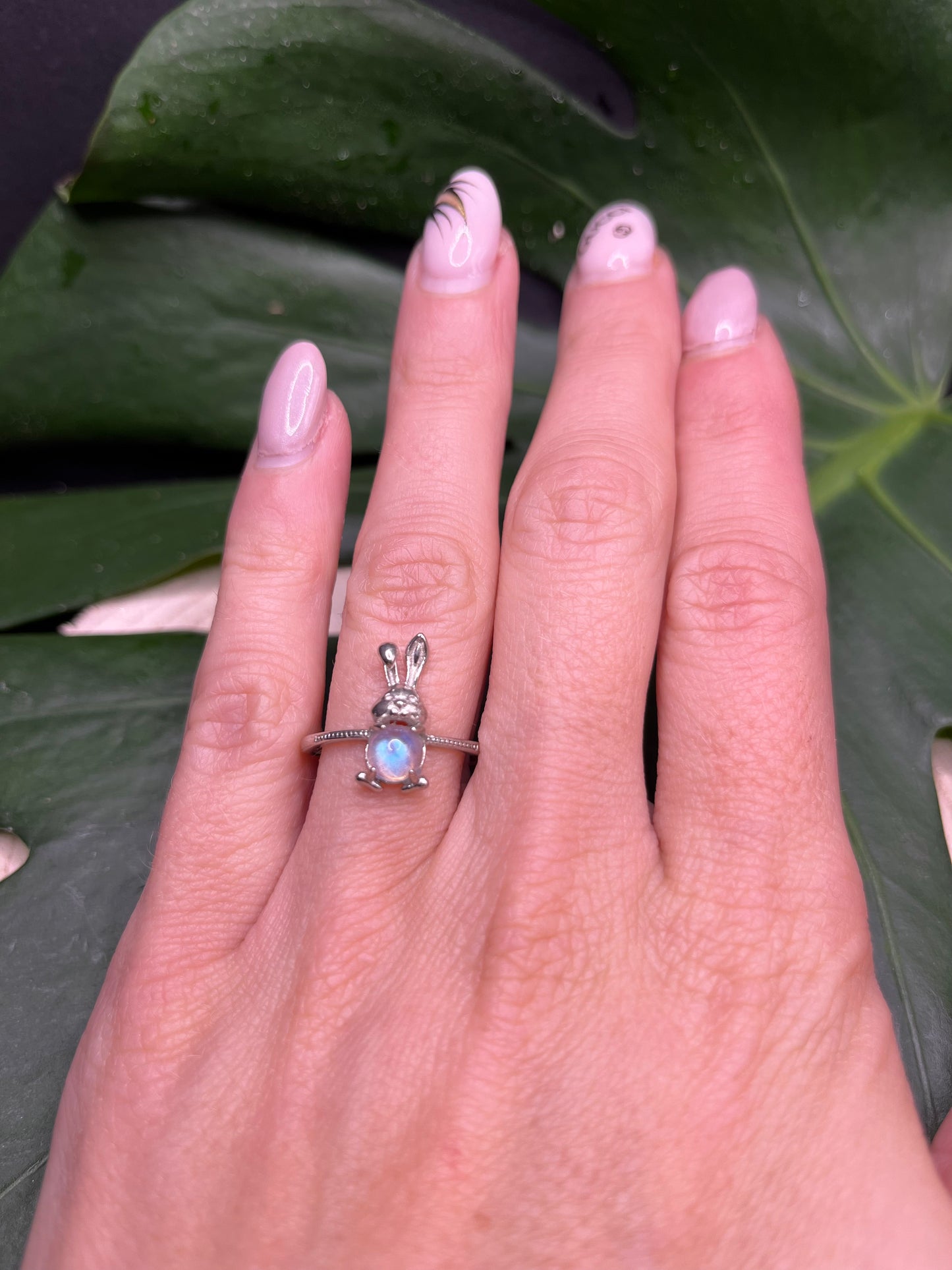 Ringe