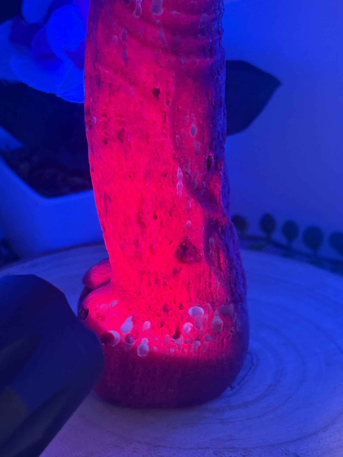 Penis