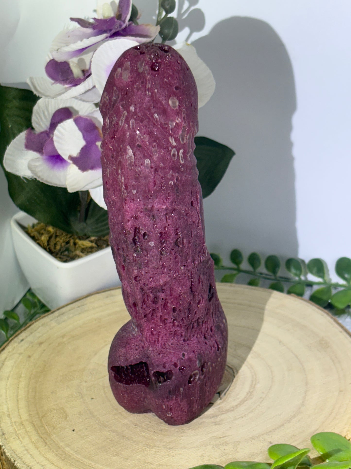 Penis