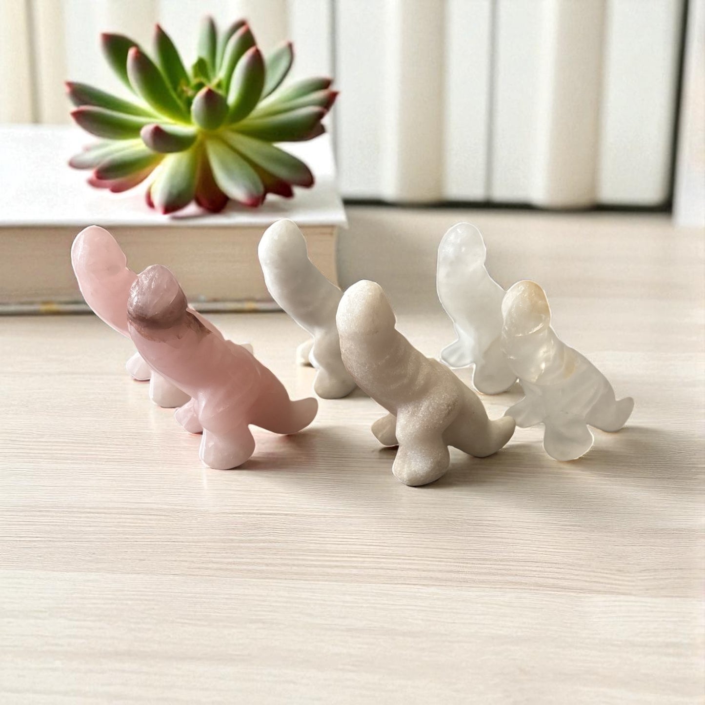 Penis