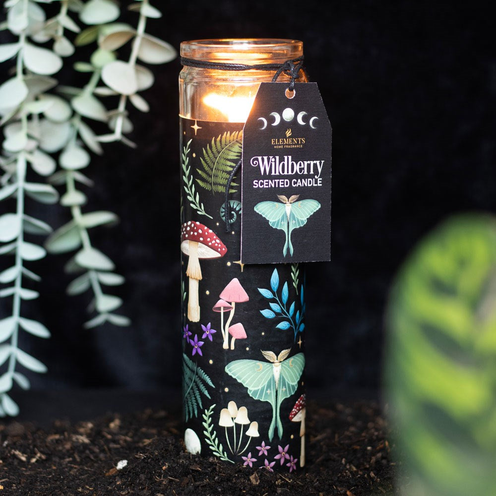 Wildberry Dark Forest Kerze