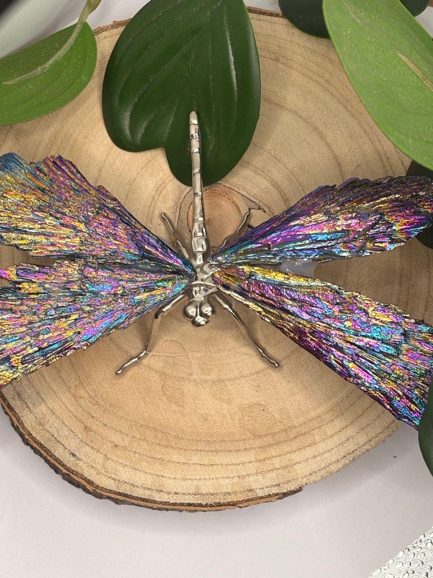 Libelle