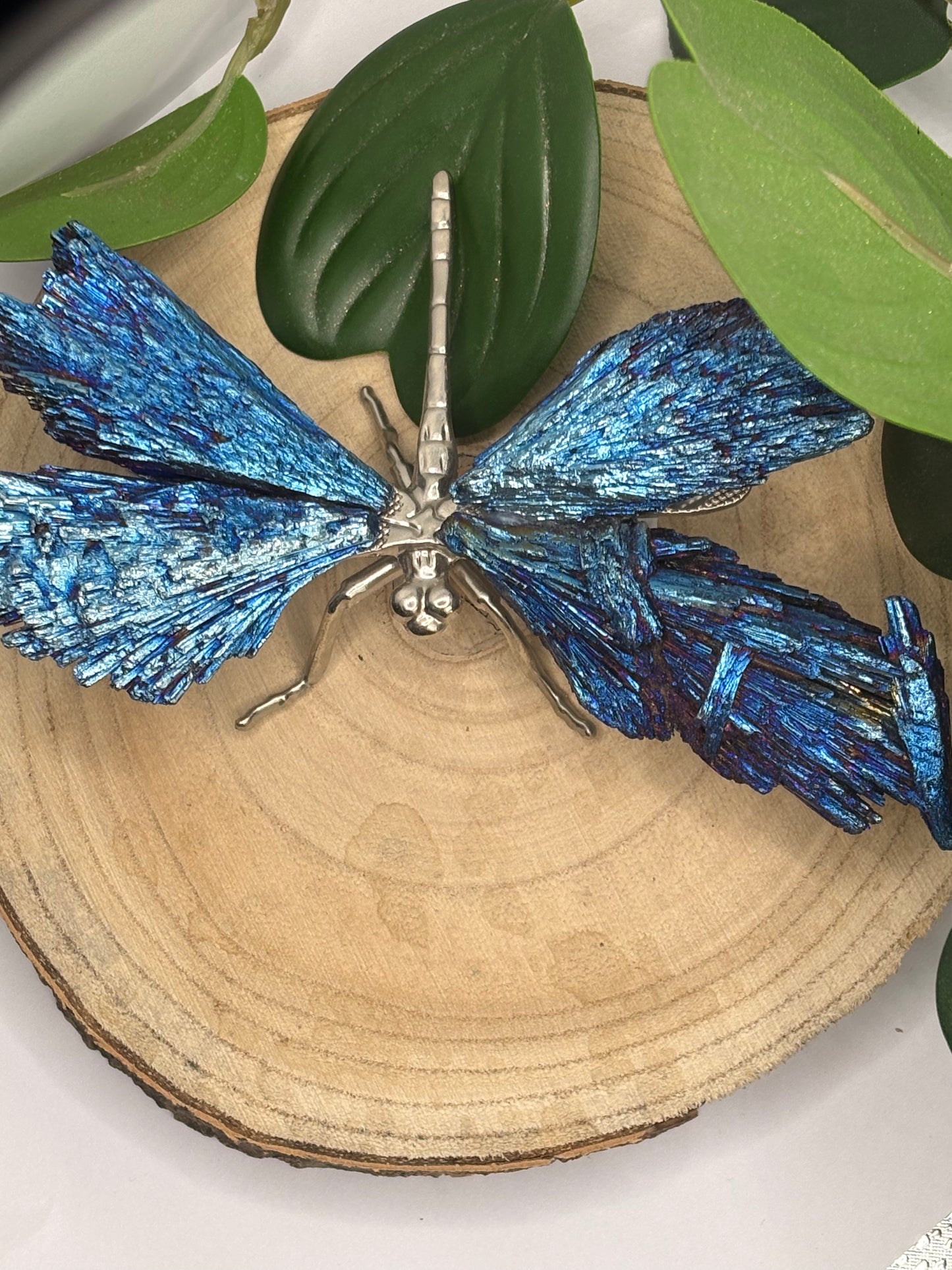 Libelle