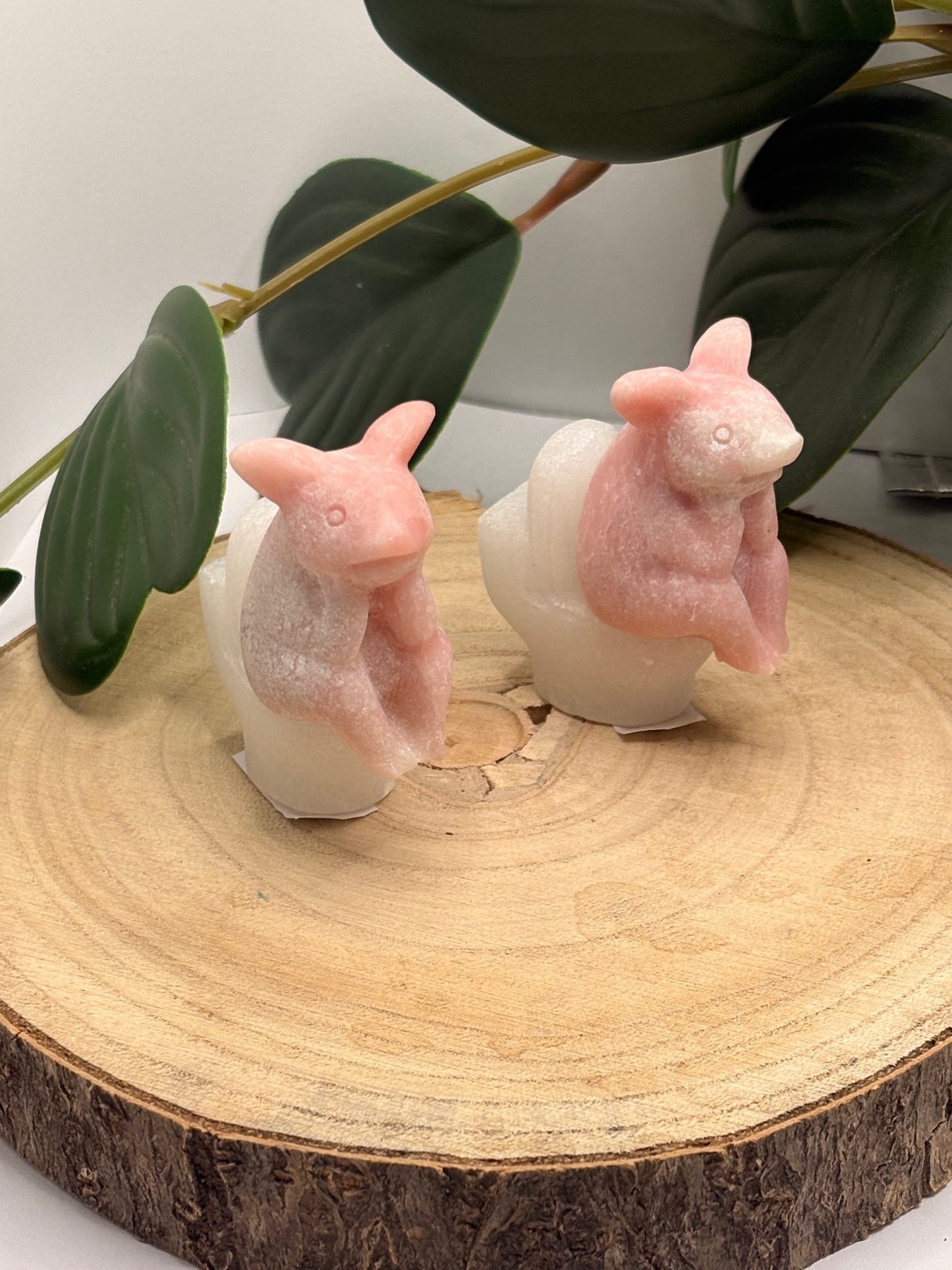 Schweinchen auf Toilette
