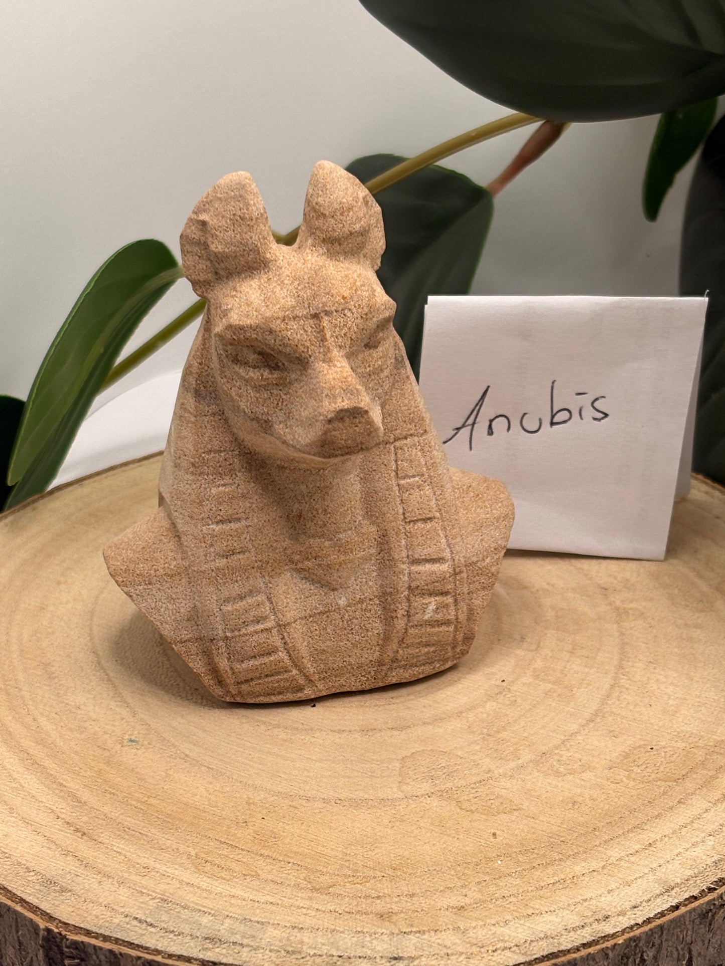 Anubis –