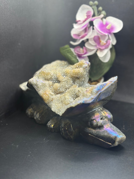 Aura-Amethyst Krokodil & Schildkröte mit Drusen