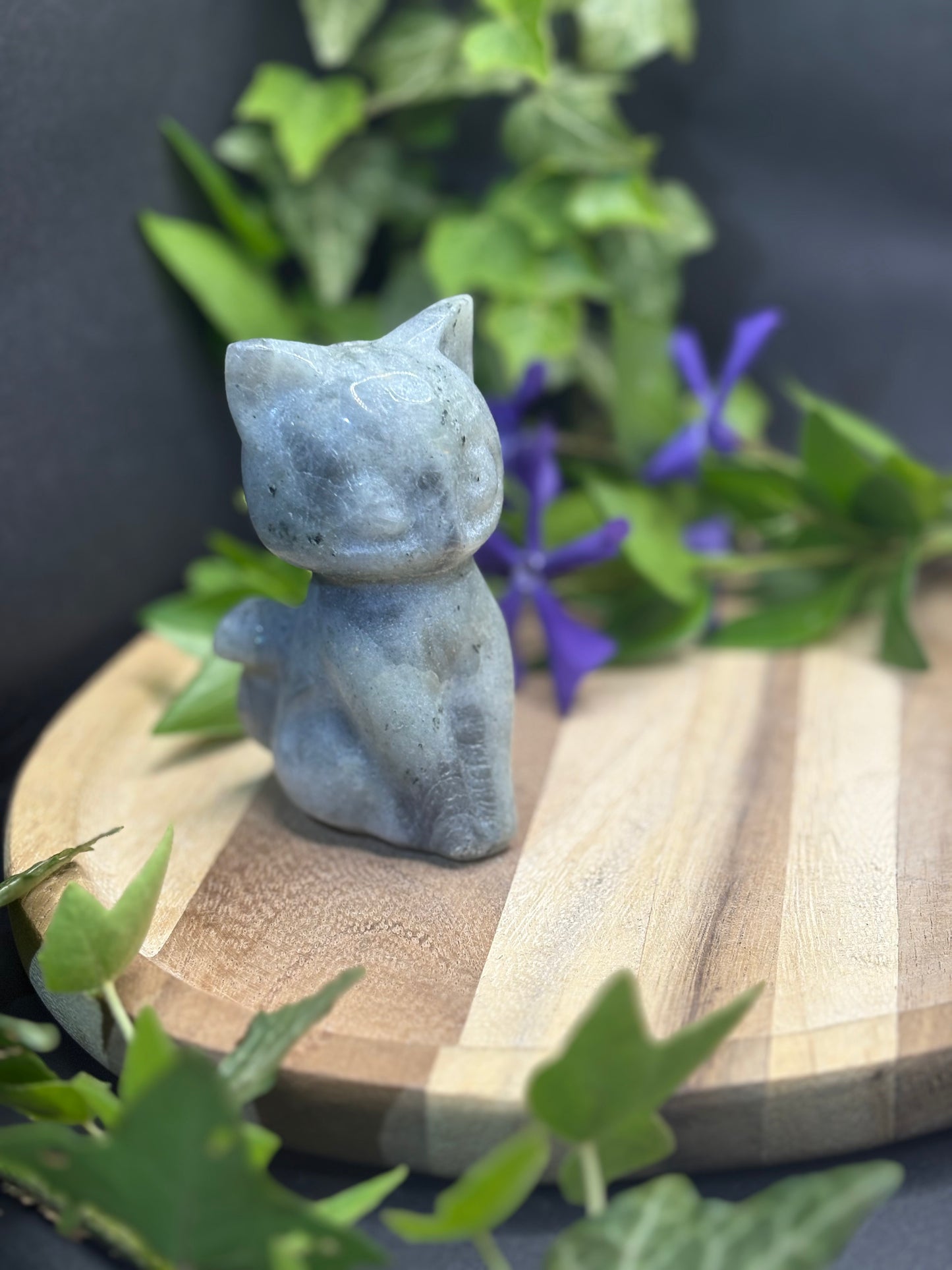 Katze Luna – Die treue Begleiterin aus Sailor Moon