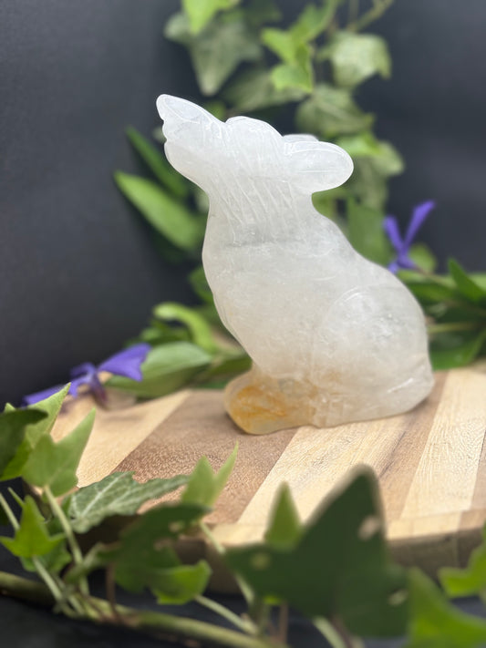 Krafttier Wolf