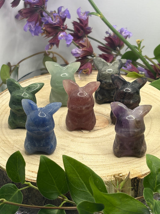 Lang Ohr Hase Minis