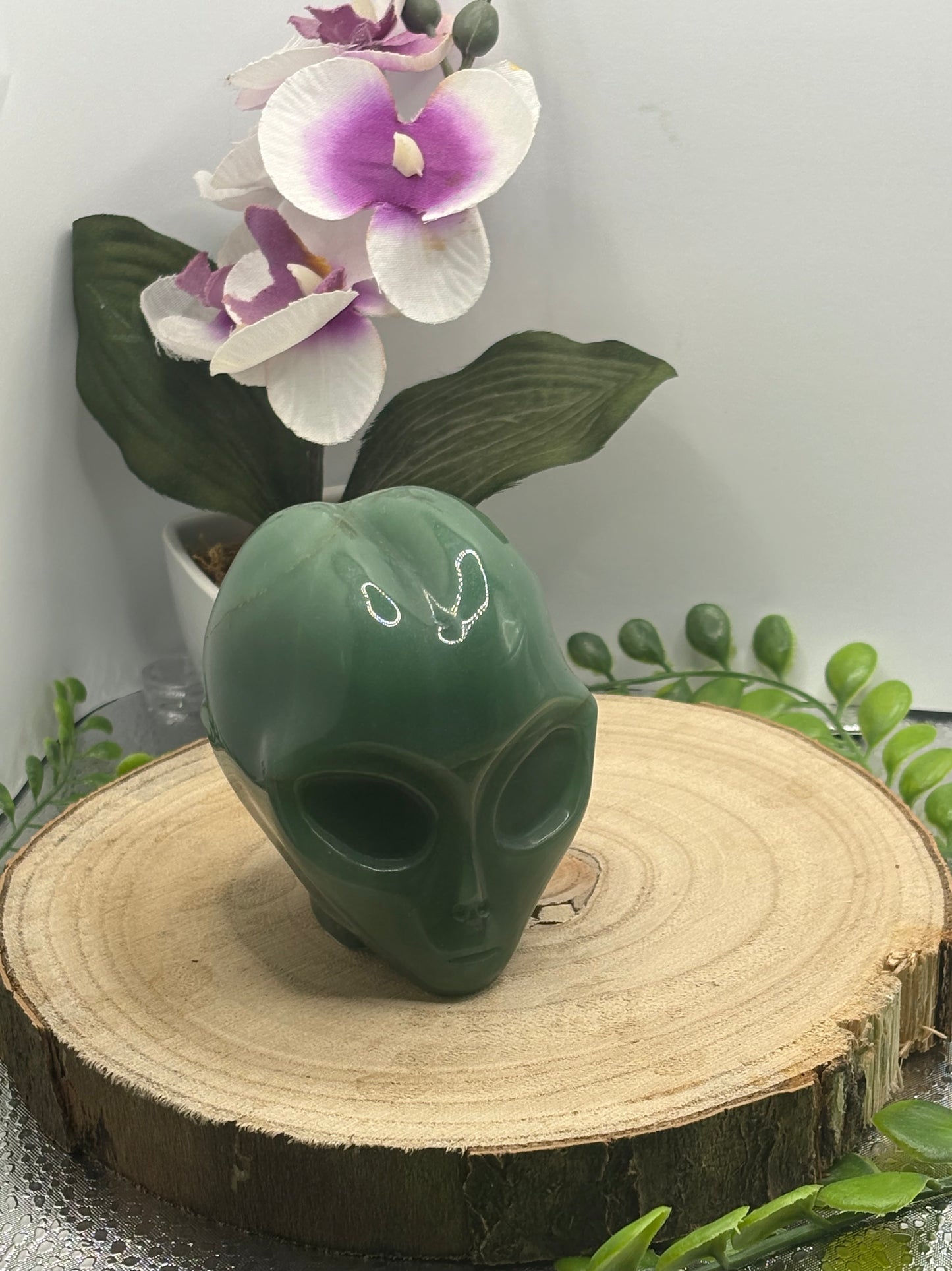 Alien