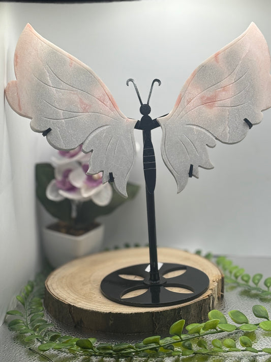 Schmetterling