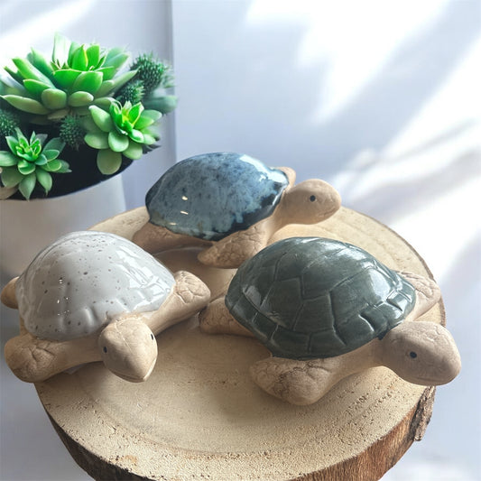 Terrakotta-Schildkröten – Symbole der Ruhe und Beständigkeit