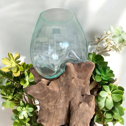 Blumenvase auf Kaffeewurzel
